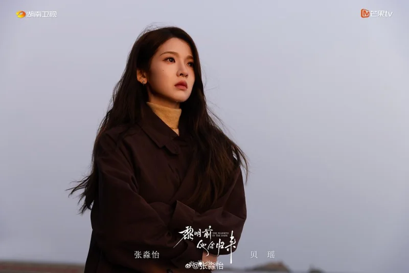 黎明前他会归来剧照6