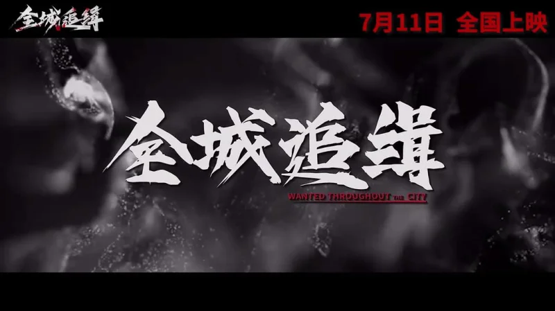 全城追缉剧照2